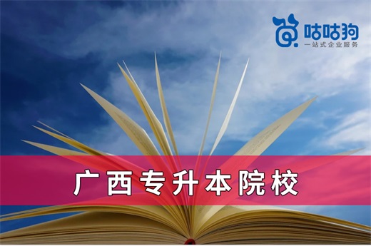 咕咕狗|2021广西成人高考专升本院校推荐